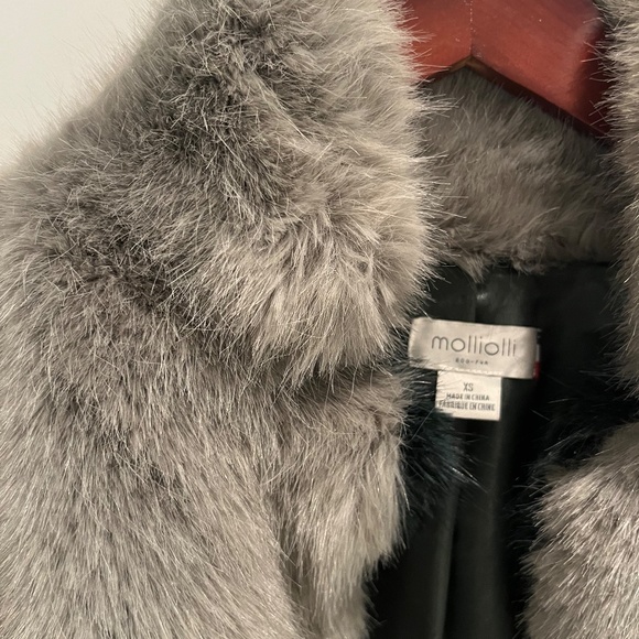 Molliolli Anthropologie Gray Colorblock Teddy Eco Fur Coat Jacket XS - Picture 7 of 7